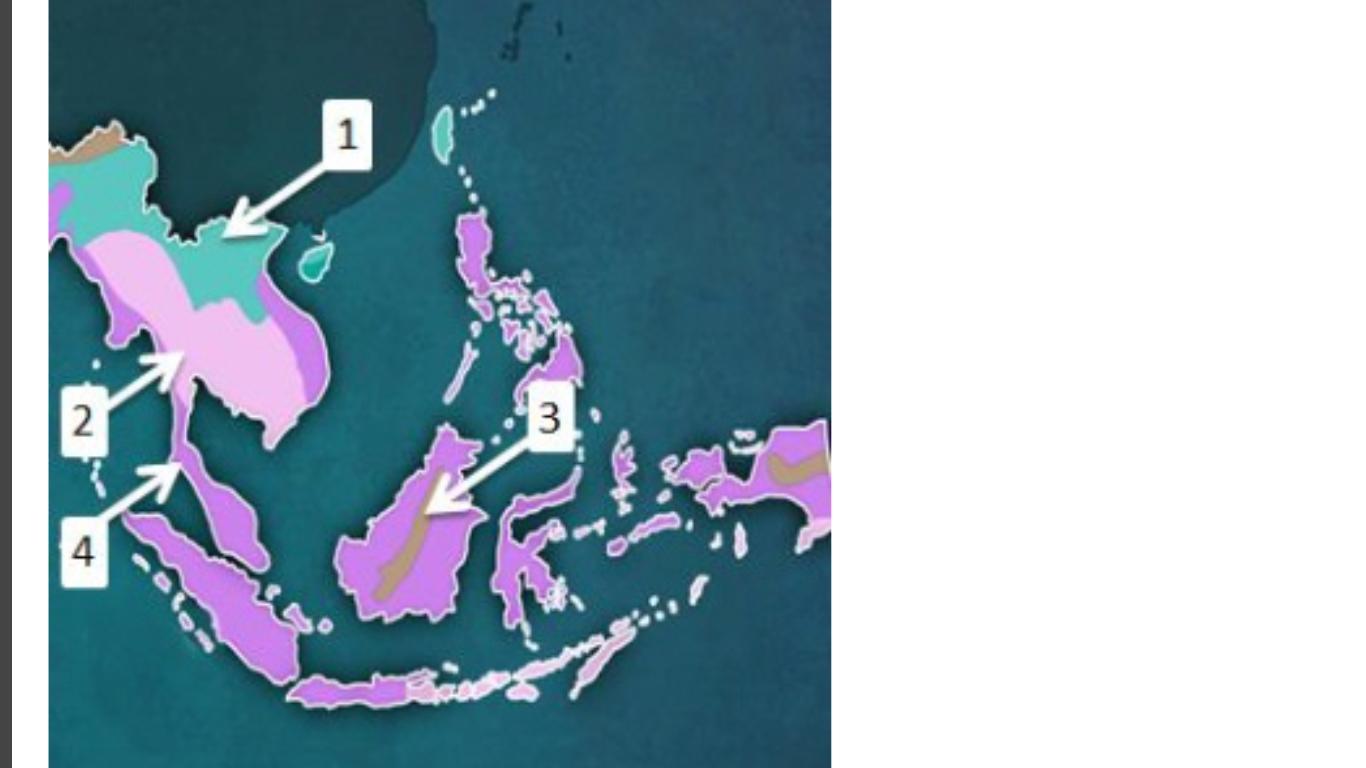 a tropical wet climate is labeled with witch number on the map above a.1b.2c.3d.4WILL GIVE A BRAINLEST