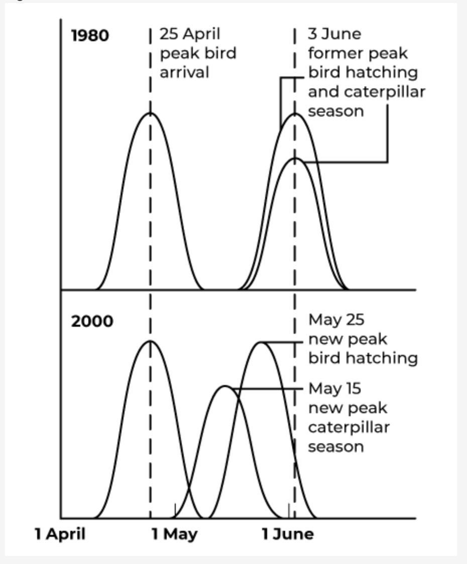 Please help 100 pointsGlobal warming has had an impact on the migration habits of some species of birds.