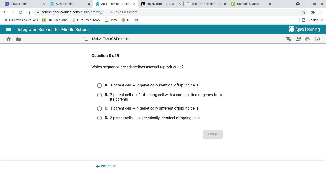 Which sequence best describes asexual reproduction?