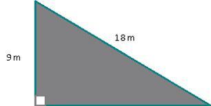 Find the area of the right triangle. If necessary, round to the nearest tenth.A right triangle with side