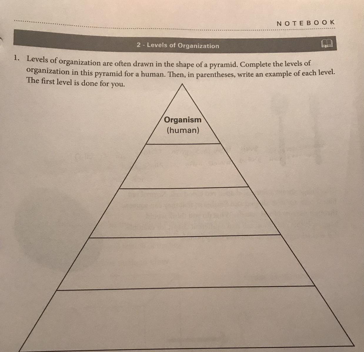 This is Science:Please help me in number 1