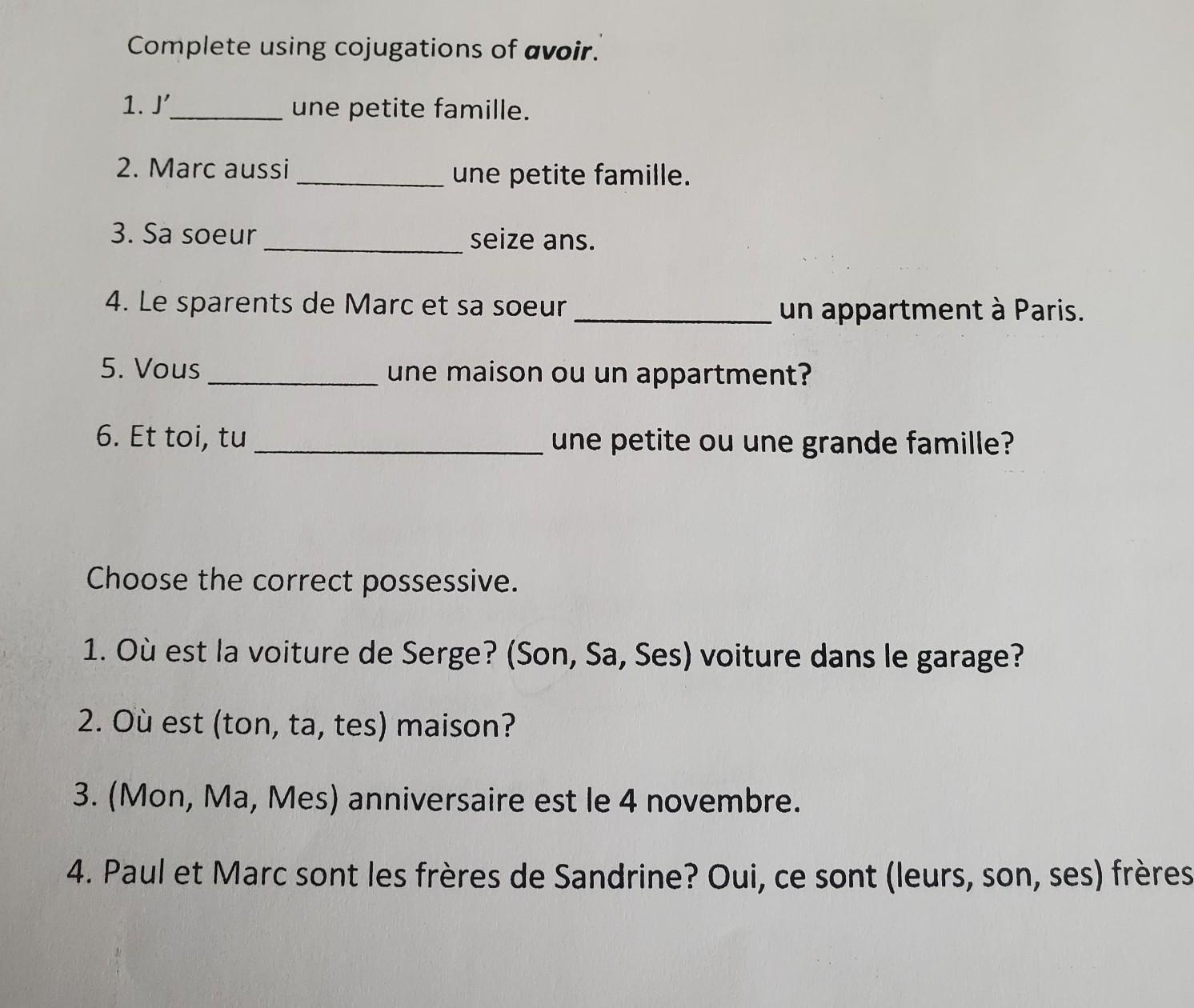 Complete Using Cojugations Of Avoir. 1. J' Une Petite Famille. 2. Marc Aussi Une Petite Famille. 3. Sa