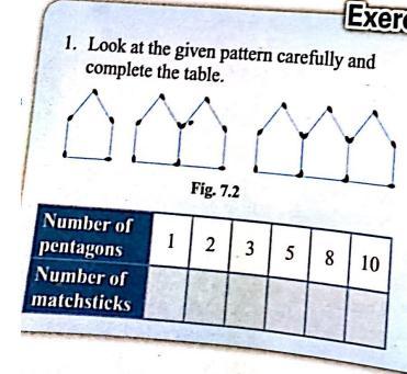 look at the given pattern carefully and complete the table.plz say