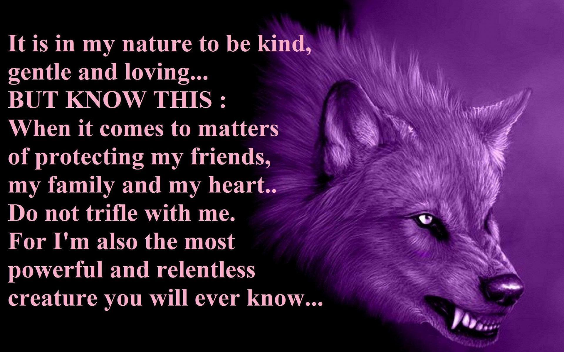 cool wolf pics part 1