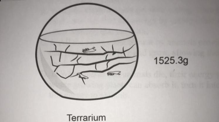 Joel Has A Terrarium. The Terrarium Is A Sealed Container With Both Plants And Animals. Inside The Container,