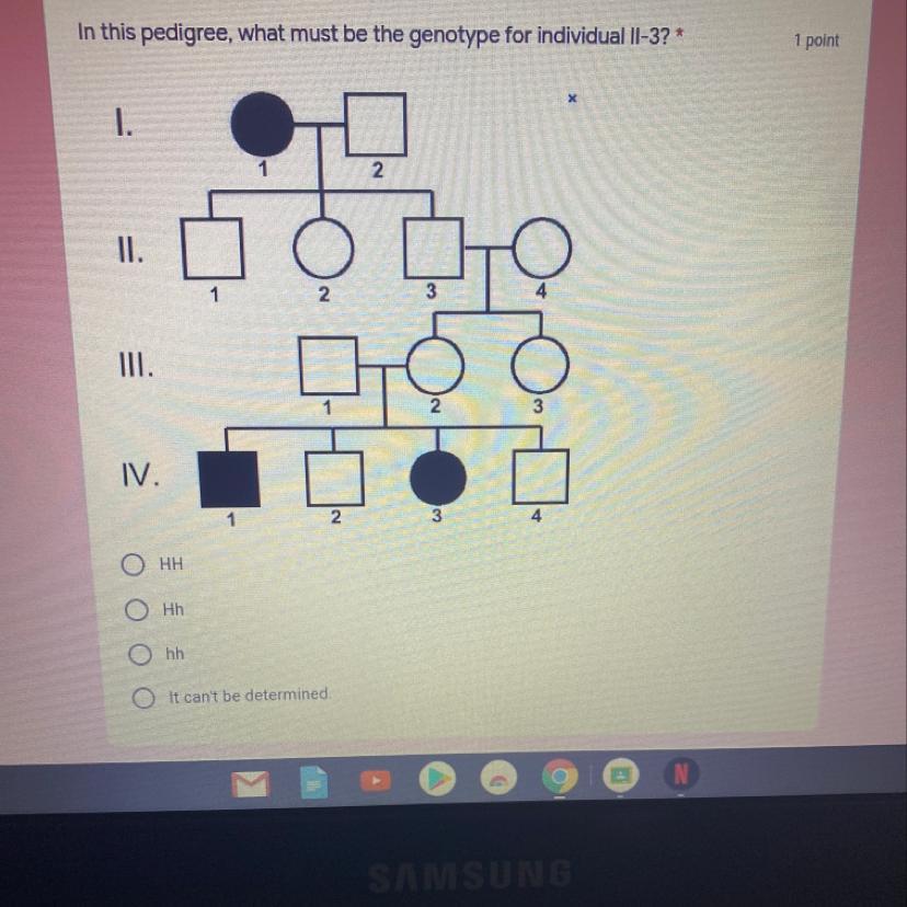 Someone Please Help 