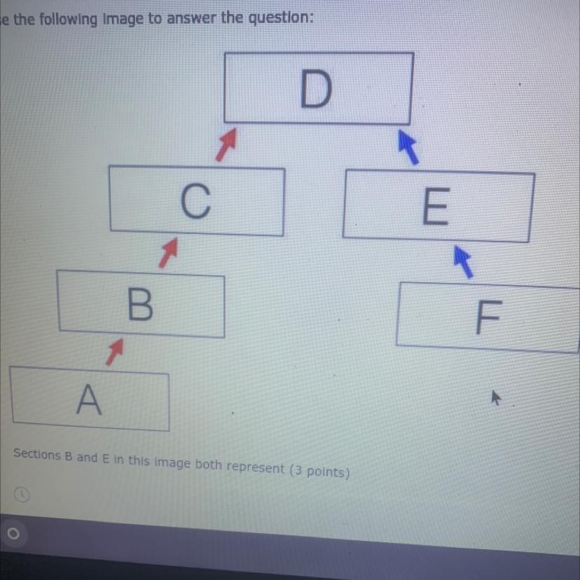 1. Use the following Image to answer the question:Sections B and E in this image both represent (3 points)