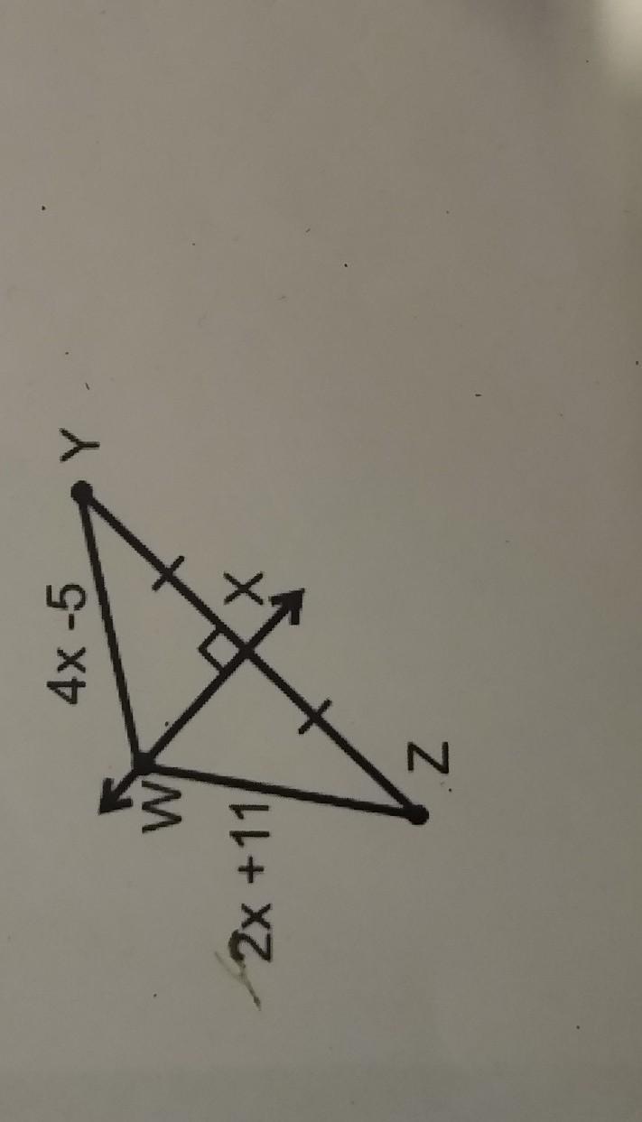 solve for x. show your work please