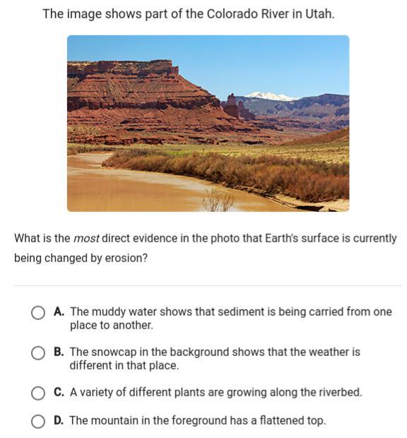 PLEASE HELP IM CONFUSED!!!