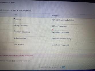 Match Each Term With The Correct Location On A Trophic Pyramid.TermProducersPrimary ConsumersSecondary