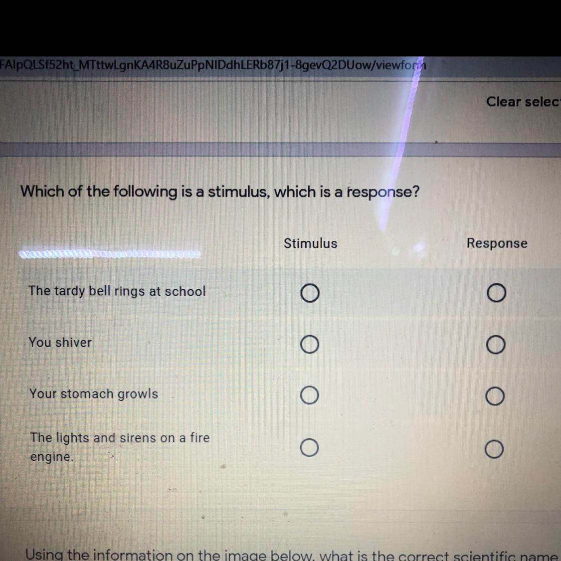 PLEASE HELP ME WITH THIS QUESTION