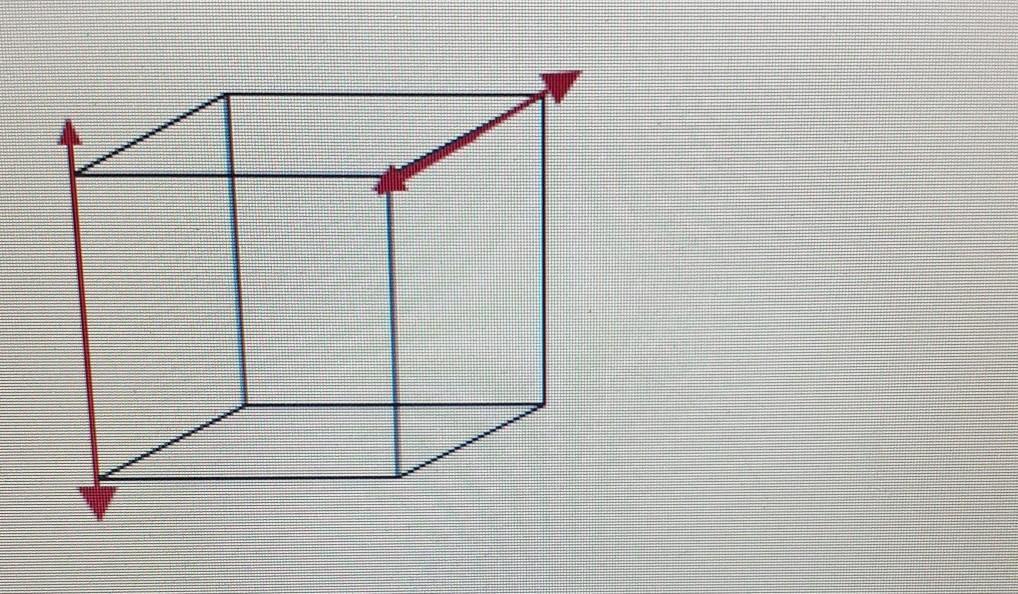 Why Are The Red Lines In The Image Called Skew Lines?