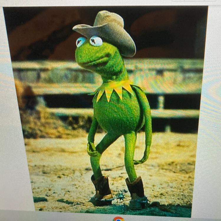 Hi can someone tell me what kind of shot this image is?