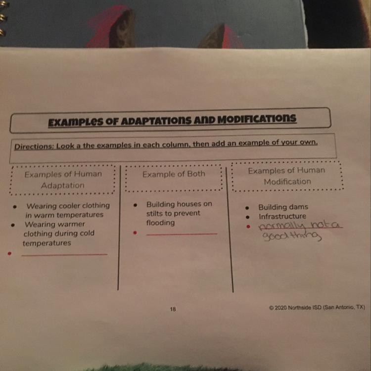 EXAMPLES OF ADAPTATIONS AND MODIFICATIONSDirections: Look a the examples in each column, then add an