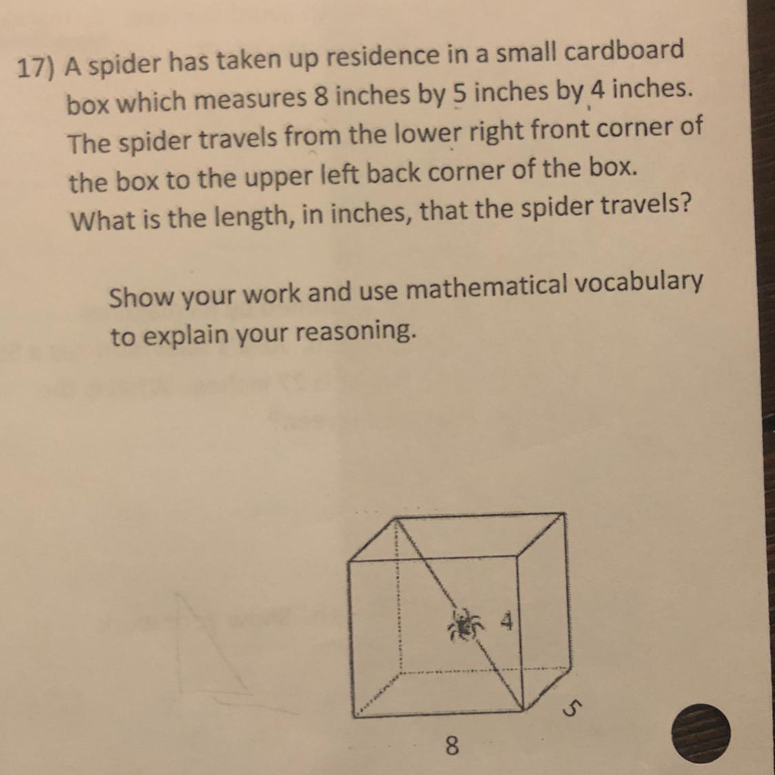17) A spider has taken up residence in a small cardboardbox which measures 8 inches by 5 inches by 4