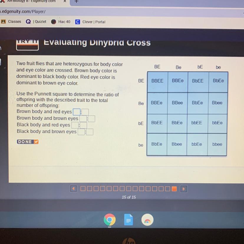 BEBeDEbeBEBBEEeBbEEBbEeTwo fruit flies that are heterozygous for body colorand eye color are crossed.