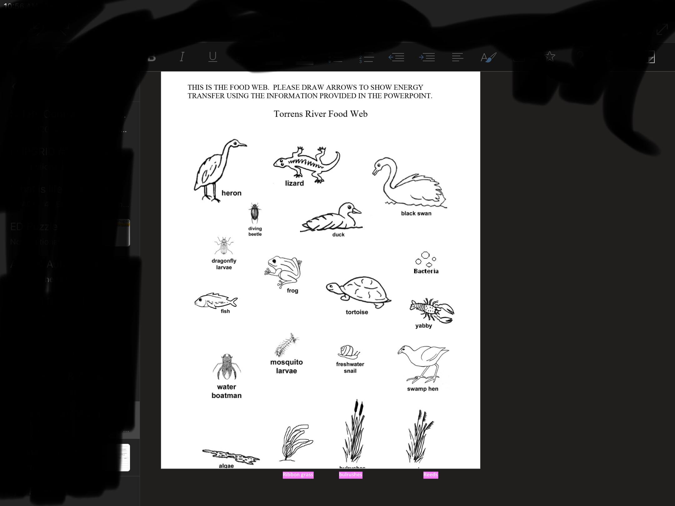 PLEASE HELP!! (Answer Appropriately) USE ARROWS