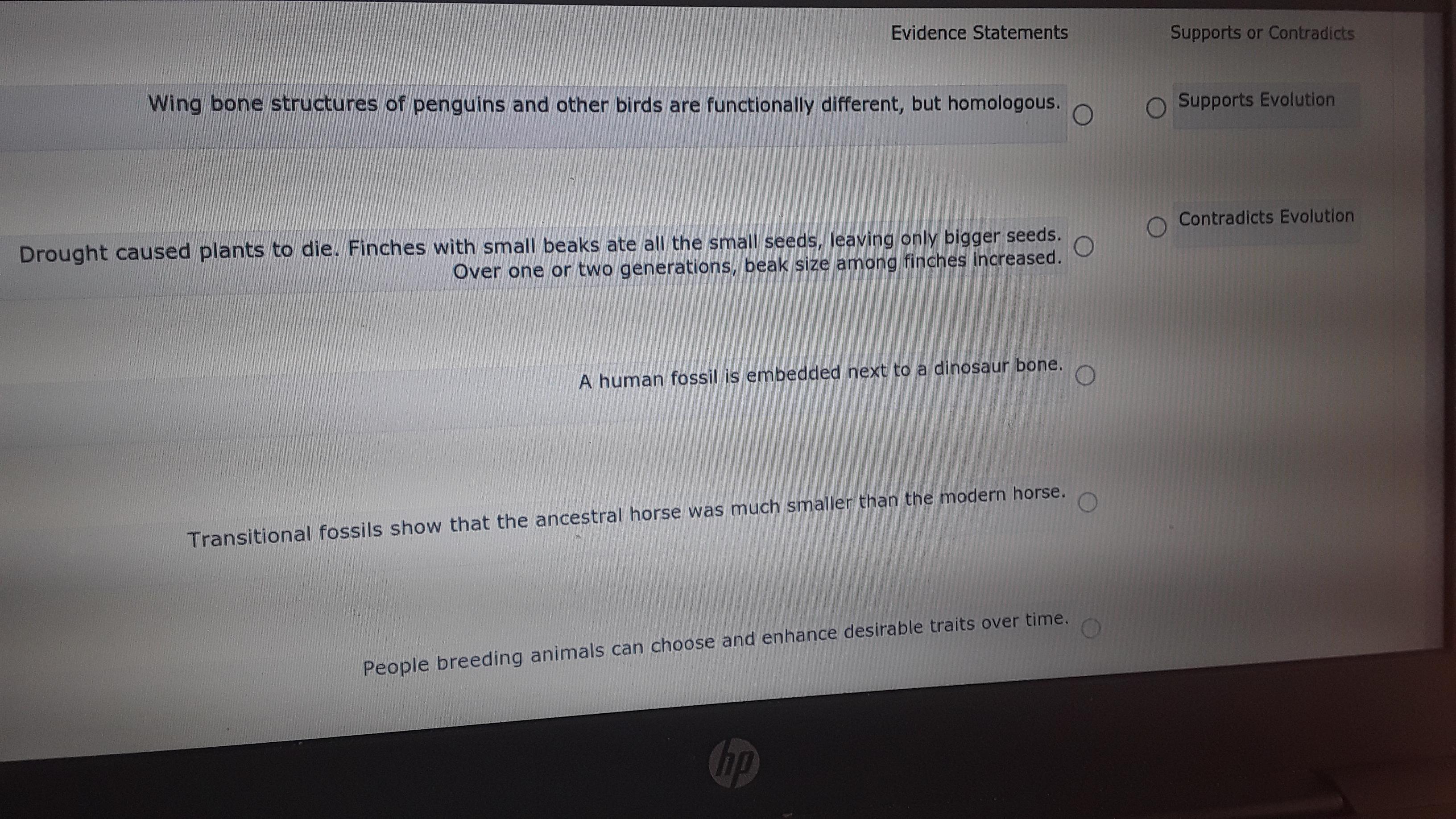 Umm I Need Some Help Please By 4pm