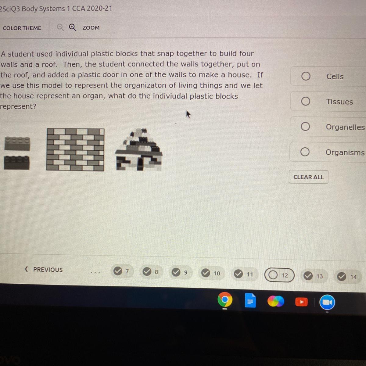 Can someone plz help me it will really mean everything thank you 