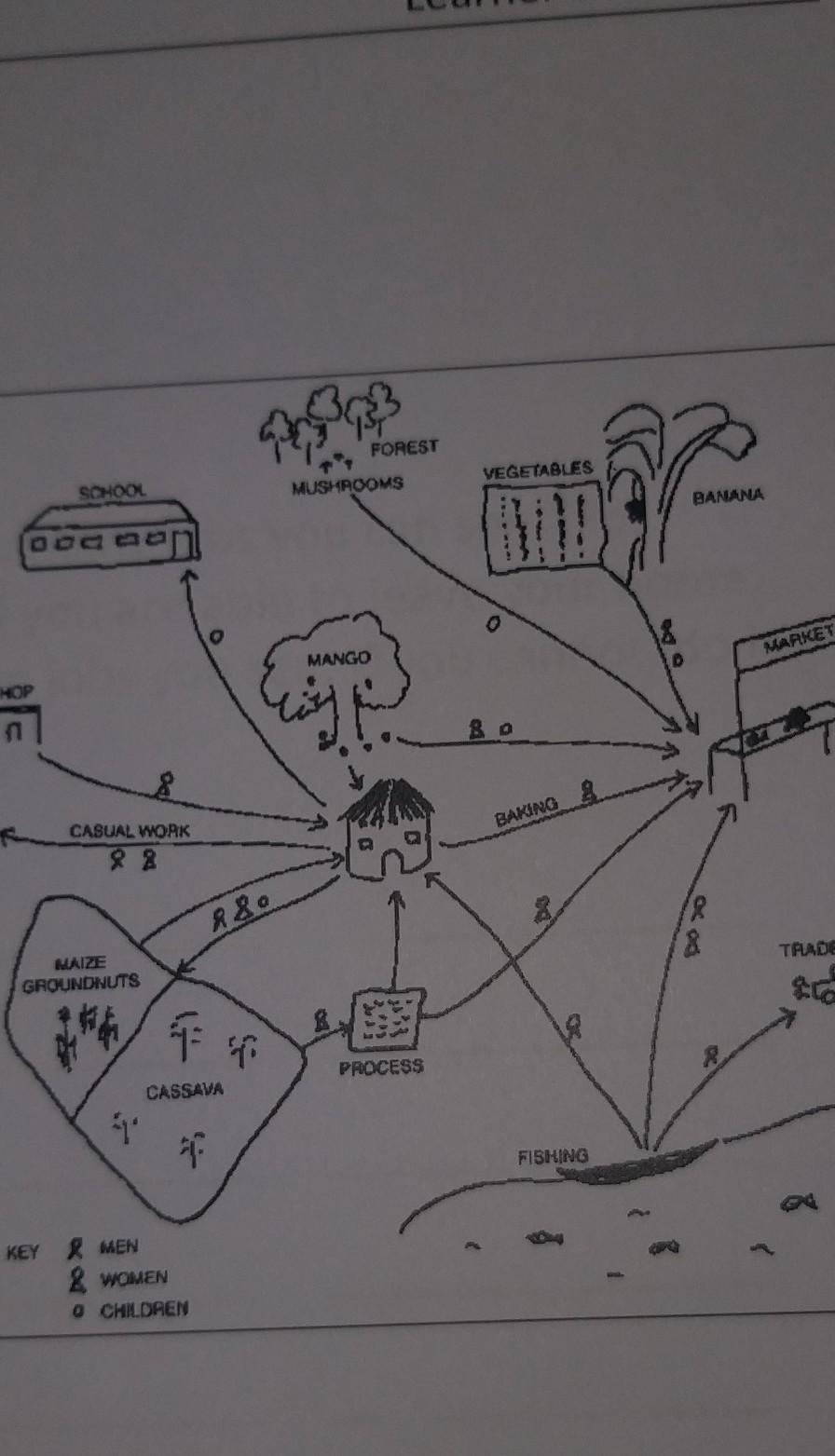 About The Mapping Process What Did You Learn About Your Community