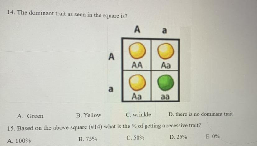 Please answer this thank you