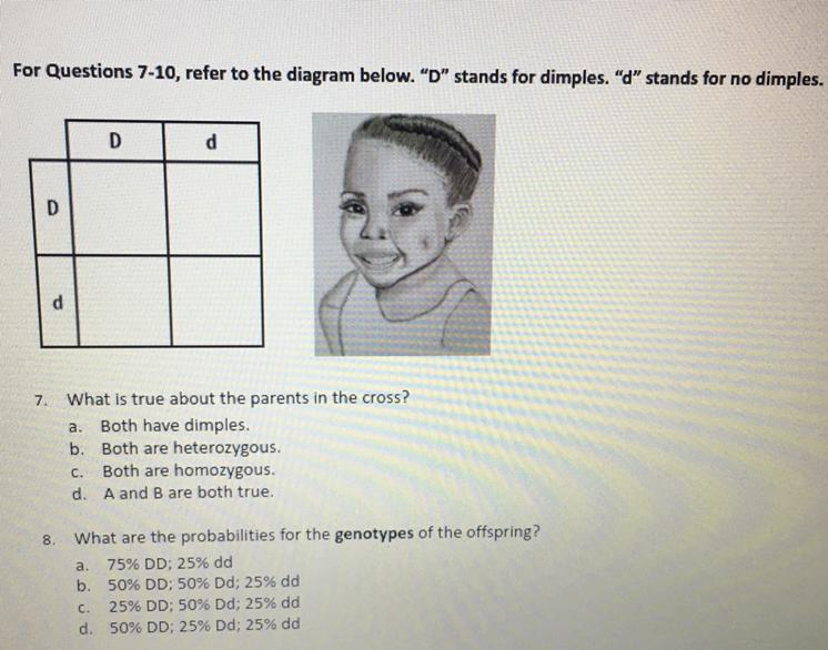Can someone plz help me out. I dont really understand this.