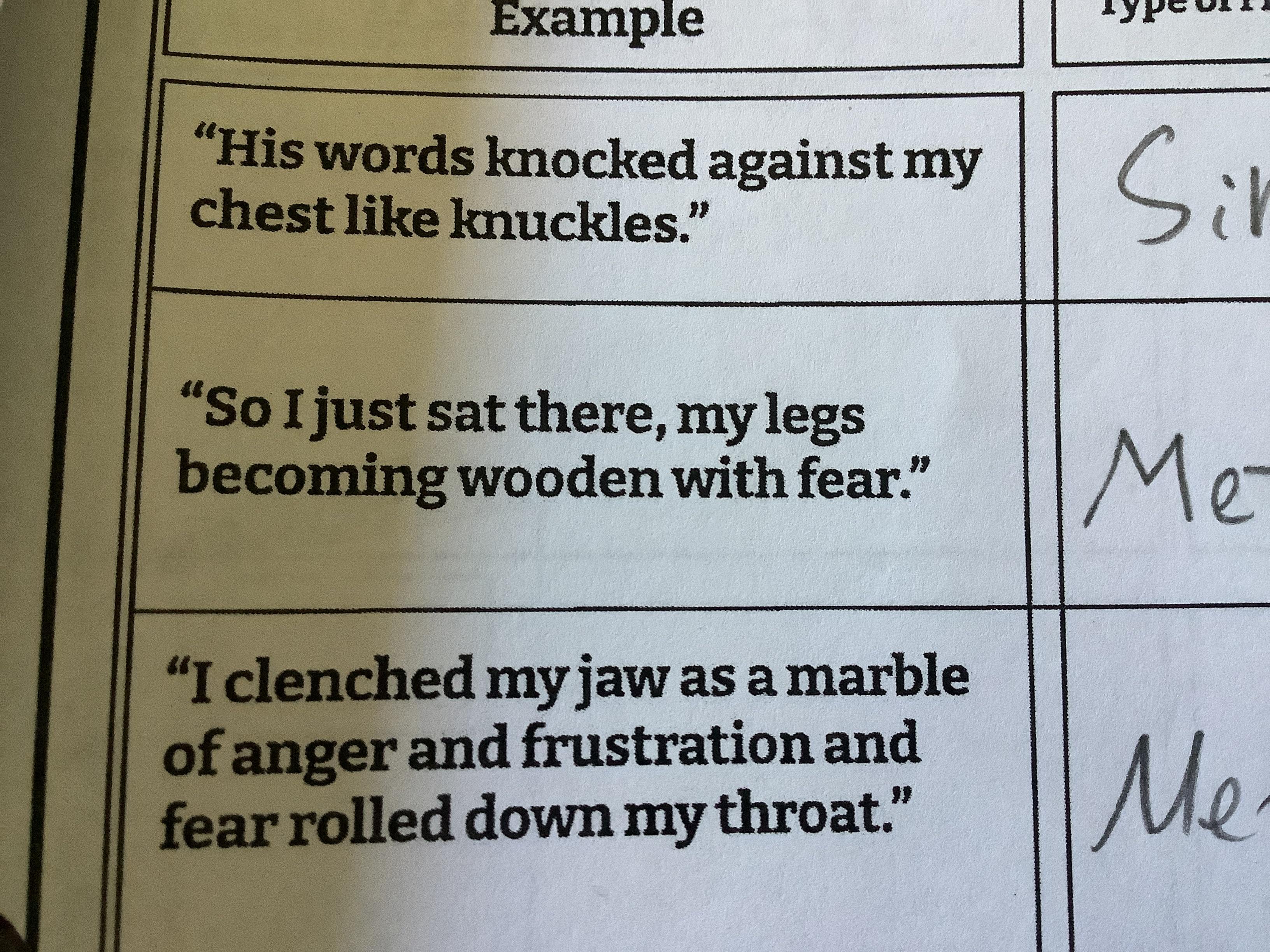 Pls find the meaning of the first one and the third oneFirst one: simile Third one: metaphorBtw I need