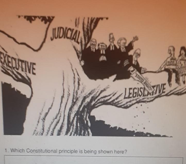 what Constitution is being shown here