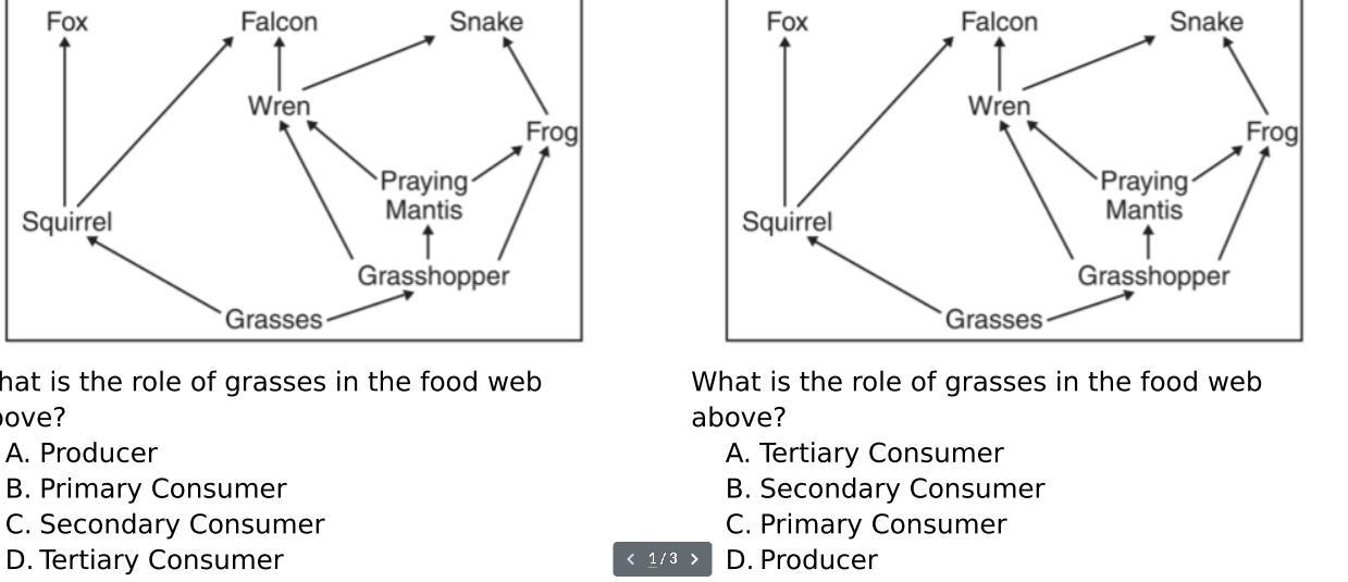 What is the role of grasses in the food web above