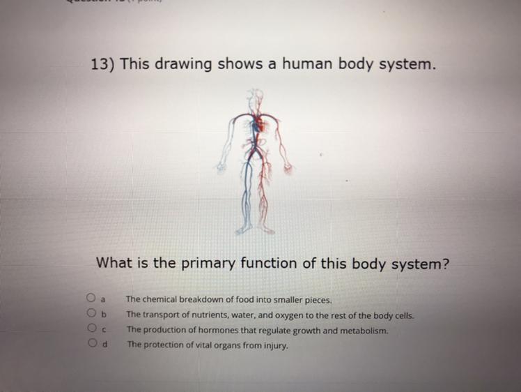 PLEASE HELP, ILL GIVE BRAINLIEST! THANK YOU. :)