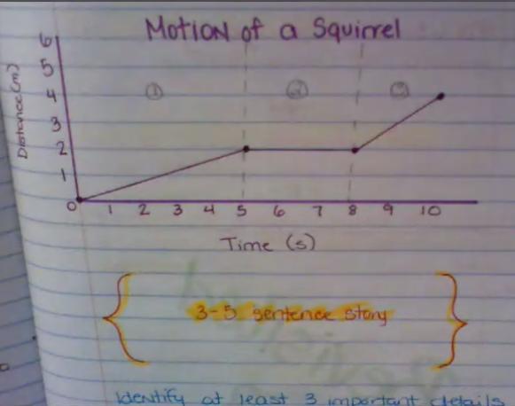 How do I write this in 5 sentences for mention of a squirrel?