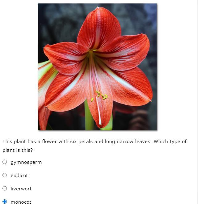 FIRST CORRECT ANSWER GETS BRAINLIEST