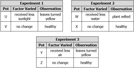 A student places six plants of equal sizes into six different, equal-sized pots containing the same amounts