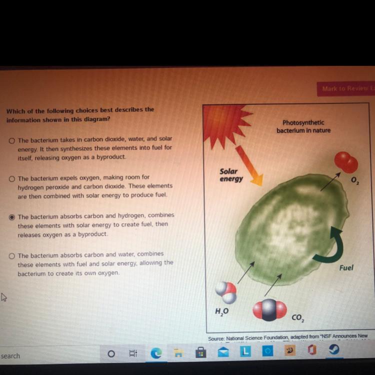 Which of the following choices best describes the information shown in this diagram?The bacterium takes