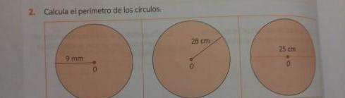 Necesito los resultados y el procedimiento