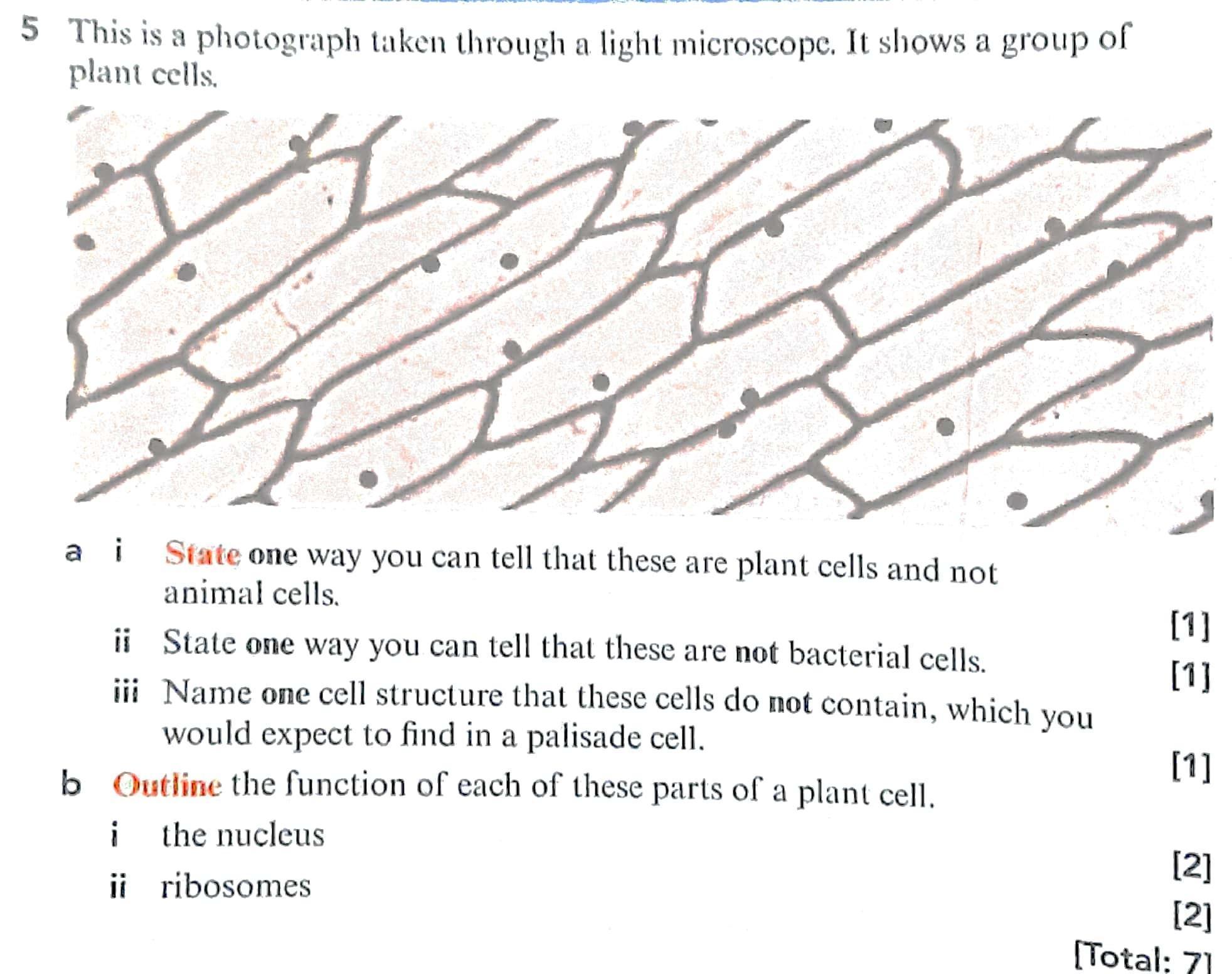 5 This is a photograph taken through a light microscope. It shows a group of plant cells.a i State one