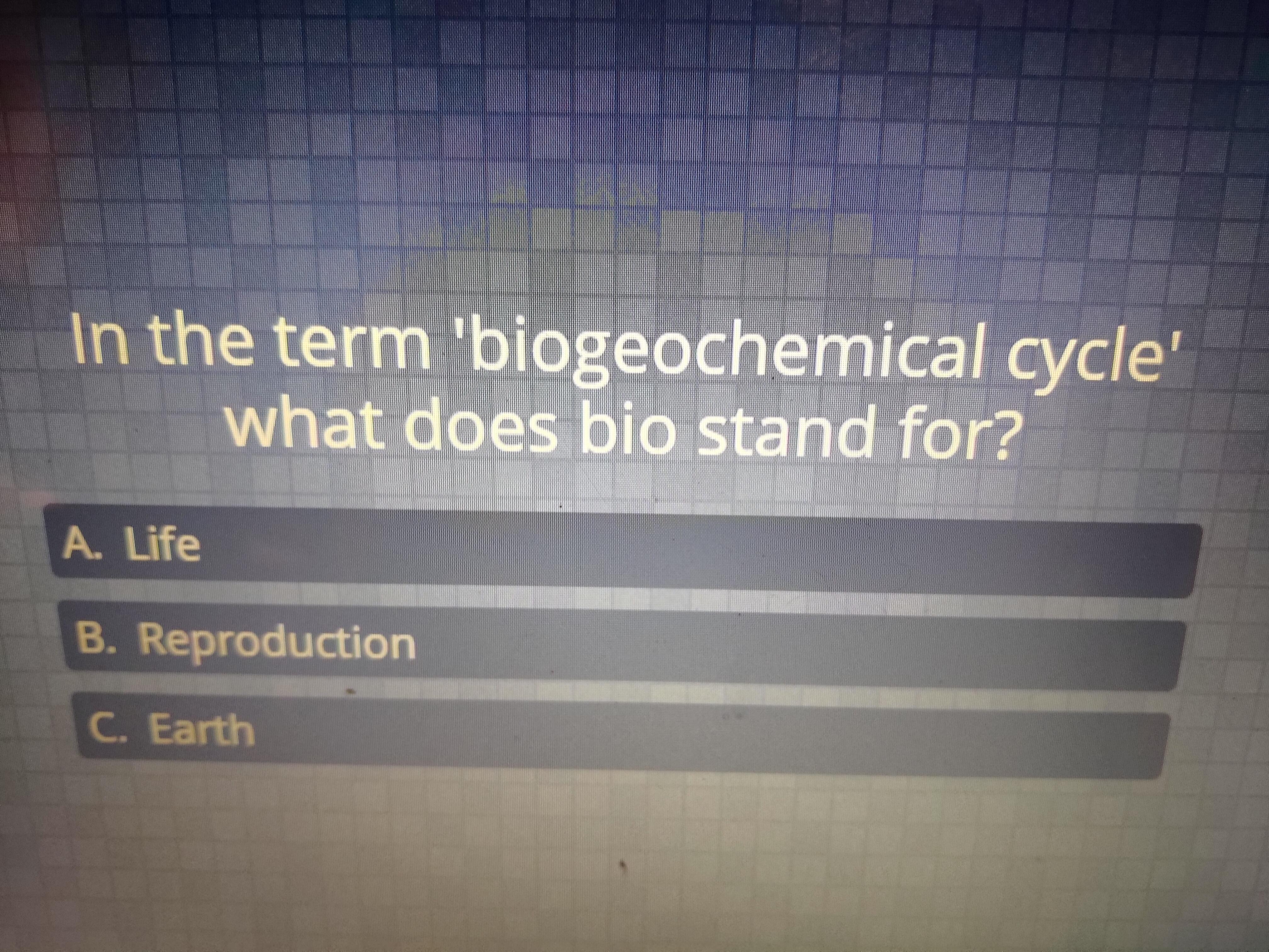What is this? Please answer with an explanation
