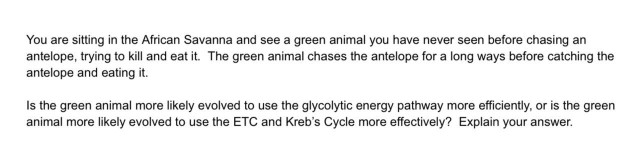 I need help on this assignment
