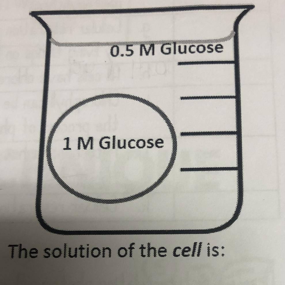 0.5 M Glucose1 M GlucoseThe Solution Of The Cell Is: