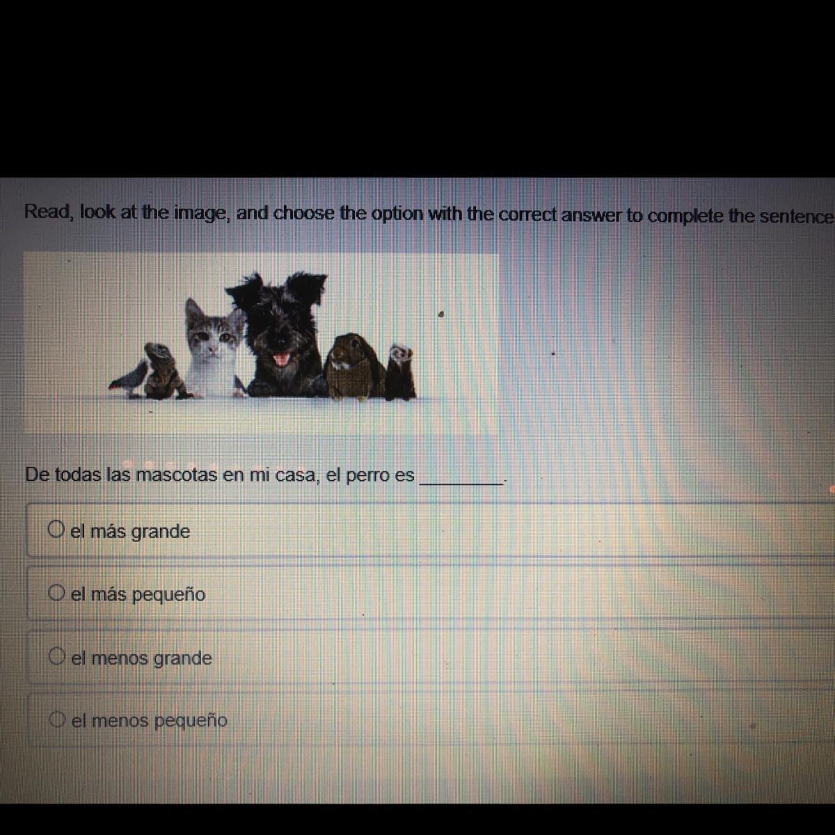 Read, look at the image, and choose the option with the correct answer to complete the sentence.