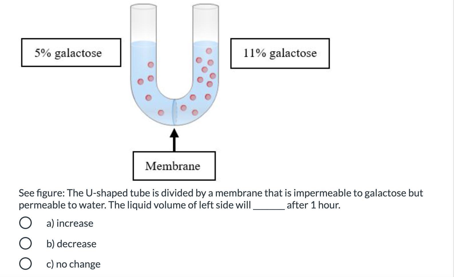 See Figure: The U-shaped Tube Is Divided By A Membrane That Is Impermeable To Galactose But Permeable