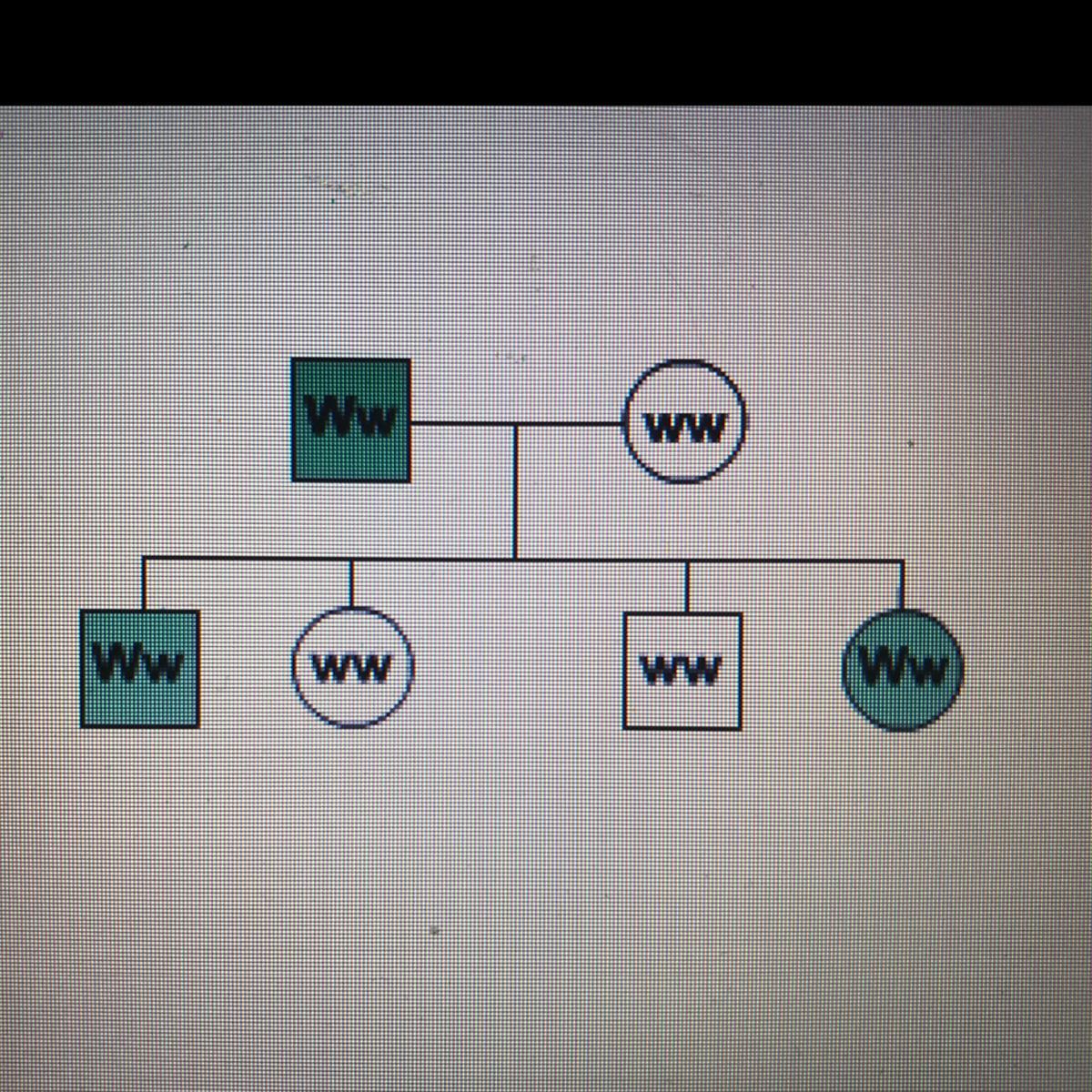 What kind of allele results in the trait indicated by the green color being expressed inthe individuals
