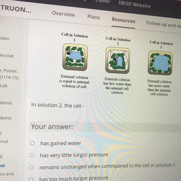 Ill Give Brainliest Or Wtv Its Called