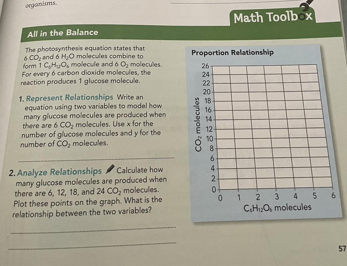 please help, short answers pls