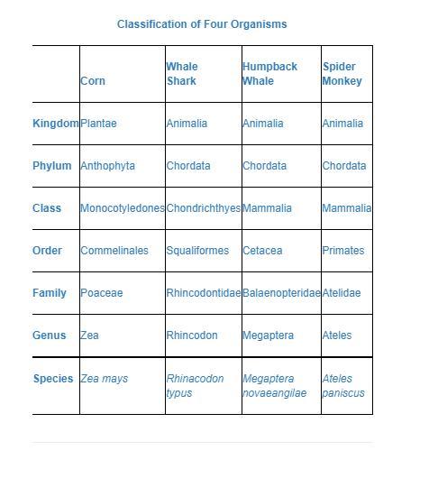 Which level of taxonomy indicates whether an organism is a mammal or not?a. KingdomKingdomb. PhylumPhylumc.