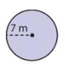 PLZZZ HELPFind The Circumference Of The Circle.