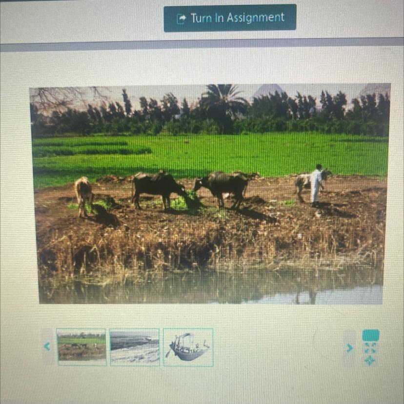 this photo shows the nile after its yearly flood the flood season last from june to september based on