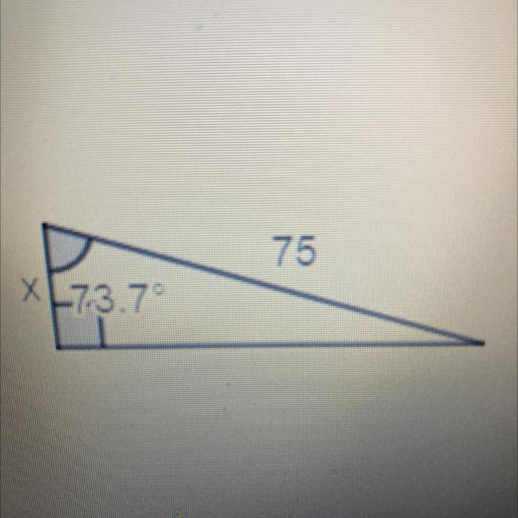 Find the value of x for the following