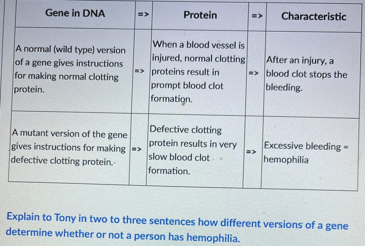Uncle Carlos And Abbey Explain That Tony May Have Inherited A Mutant Gene For Factor VIII And This May