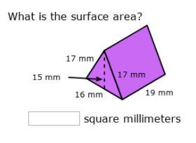 What is the surface area